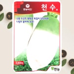 김장무씨앗 천수무 토종무 조선무 2000립 팜한농 : 식물세계