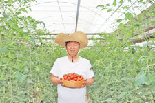 산지직송 e든팜 방울토마토 2kg 2박스 구매시 1kg추가증정 총5kg발송 : e든팜