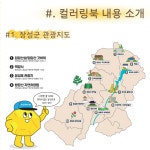 장성나들이 컬러링북 단독판매 / 색칠하기 드로잉북 / 아인미술관 취미미술 장성군지역기념품 : 아인미술관