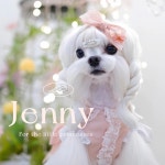 제니 : 리봉봉펫