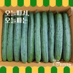오이 취청오이 청오이 소박이용 백다다기 가시오이 못난이 오이지오이 2kg 3kg 4kg 5kg 10kg 하트오이 별오이 : 전남장흥 수목농장