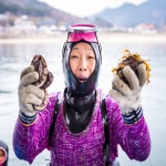 남해 보물섬 해녀언니네 산지직송 해물찜 가족세트/커플세트 : 보물섬해녀언니