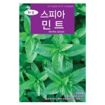 스피아민트 허브 씨앗 스피아민트씨 2000립 : 보라나마루