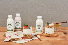 철원 목장에서 갓 짠 신선한 원유로, 진하고 고소한 유기농 플레인요거트 500ml 2개 : 치즈와 요거트 비네본