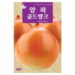 골드뱅크 양파씨앗 양파씨 500립 : 보라나마루
