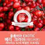 콜롬비아 EXOTIC 파라이소 92 베리 크러쉬 세웅지씨 직수입 다이렉트 트레이더 생두 1kg : 세웅gc