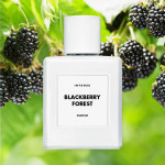 블랙베리 포레스트 50ml 퍼퓸 인텐스 니치향수 001 BLACKBERRY FOREST (블랙베리 앤 베이) : 인텐스
