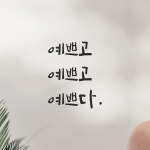 캘리그라피 레터링 스티커 예쁘고 예쁘다 LC-035S 검정 : 모노먼트