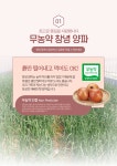 친환경 무농약 양파 햇양파 저장양파 깐양파 조생 중생 만생 1kg 2kg 3kg 5kg 10kg : 친환경 농산물 다온팜