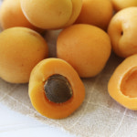 (농할20%) 국내산 영천 노지 만금살구 1kg 2kg : 새벽딴
