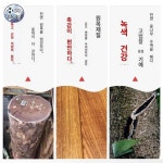 어르신 나무 청려장 할머니 지팡이 효도 고급,신장 139-140cm(길이 73cm) : 에스에이치글로벌5405