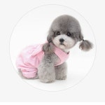 강아지 스마일레빗 반려동물 견 평상 복 옷 : 살난강