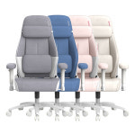 제닉스 제로드 소프체어 컴퓨터 게이밍의자 : 제닉스