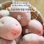 이때다×도시농장 국내산 제철 카스테라 홍감자 : 이때다 eatteda