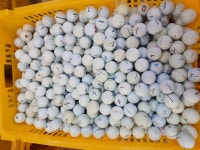 스크린골프, 필드용, 일반 연습장용 로스트볼 lostball : 일등조은골프