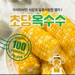 달콤한 초당옥수수 10개입 20개입 : 땅끝맛