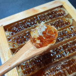 국내산 토종 벌꿀집 밀랍 사양 벌꿀집 실링 110g : 춘식이네농장