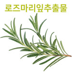 이스터 구스베리 약산성샴푸 미용실 천연 유래 향기좋은샴푸 1000ml : 위코스메틱스