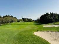 제주도 테디벨리cc+사이프러스 우리들 패키지 초특가 캐리골프투어 : 캐리골프투어