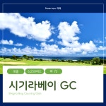 골프의 낙원 미야코지마 3박 4일 패키지 : 세이브투어- 황수진차장