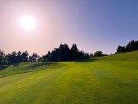 제주도 테디벨리cc+사이프러스 우리들 패키지 초특가 캐리골프투어 : 캐리골프투어