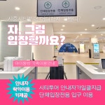2025 시흥시티투어 아기거북이 해수 이벤트 : 동네봄