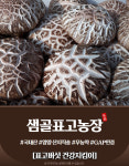 양양 표고버섯 : 샘골표고농장