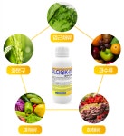 예봉 칼시직 엠 500ml 가뭄 일조 부족 환경에 필요한 액체 식물영양제 이온칼슘 원예용품 : 주식회사 예봉바이오