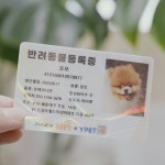 [와이펫] 반려동물등록증, 강아지, 고양이 신분증 및 민증 : YPET