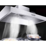 배기팬 주방후드 환기 스텐 환풍 시설 업소용 천장형 : 예롱스토어