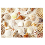 조개현수막 어린이집 오감놀이 조개 소라 모래 포토존 현수막 140x100cm 24번 : 키즈나래디자인