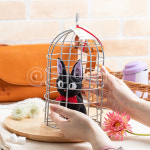 지브리 마녀배달부 키키 새장 속 지지 인형 : EIOEIO