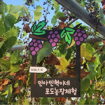 T-50 포도농장 포도축제 시골집 귀농귀촌체험 : 토퍼스라인