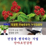 박용복 녹각접골탕(35일분):70팩 : 산야초건강원