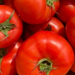 완숙 찰 토마토 2kg 3kg 못난이 쥬스용토마토 당일수확 농장직송 : 모닝큐