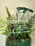 [밀라플로라] 레터링 꽃선물 조화꽃 스칸디아모스 천연이끼 개업 축하 집들이 까페데코 인테리어소품 소 대 선택 가능 : 밀라플로라
