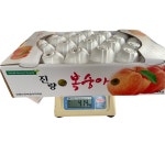 [산지 직송](7월 초 출하, 예약 중)황도(수황), 백도(대월) 4kg 순차 발송 중 고당도 제철과일 농장 직접출하 : 유니네 과일