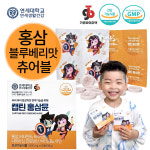 캡틴홍삼뮨 체험분 연세대학교 홍삼 츄어블 밥태기 면역력 종합성장발육 유아 어린이 청소년 영양제 : 가온바이오택