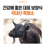 영진약품 산삼 배양근 을 품은 기운찬 발효 흑염소 70mlx30포 : 뉴프리 공식몰