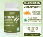머던셀링 | 옵티마이저 보스웰리아 60정 6박스 : 웰빙헬쓰