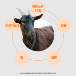 영진약품 산삼 배양근 을 품은 기운찬 발효 흑염소 70mlx30포 : 뉴프리 공식몰