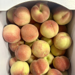 농장직송 산지직송 프리미엄 고당도 대극천 복숭아 : 푸르미스토어