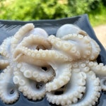 활어 급냉 쭈꾸미 1kg 12미 내외 암수 랜덤 서해산 중국배 조업 선박 급속 냉동 주꾸미 : 바다베개