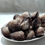 벌교꼬막 1kg : 을수상회