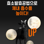 영진약품 산삼 배양근 을 품은 기운찬 발효 흑염소 70mlx30포 : 뉴프리 공식몰