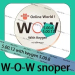 Keygen 진단 소프트웨어 검사 도구 포함, ECU 수리 인터페이스, 자동차 트럭, 5.00.12 W-OW R2 Snooper : 탑꾸리