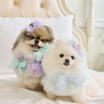 요새 멍데렐라 강아지 케이프 하네스 : 요새