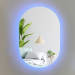 5색엠비언트 규격거울 양타원 520X800 다양한치수 미용실경대 욕실화장대 세로형일반거울 : 주식회사 미래지원