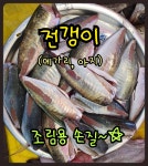 통영 제철 전갱이 메가리 생선 아지 싱싱한 제철 전갱이 구이 조림 : 통영 해물세상