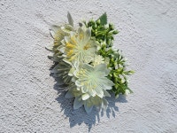 호누카이 Hairclip S_013 : Honu kai